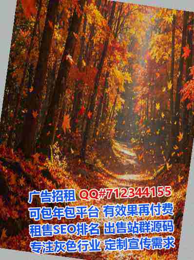 独山代妈艺术工作室